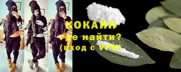 гашик Семилуки