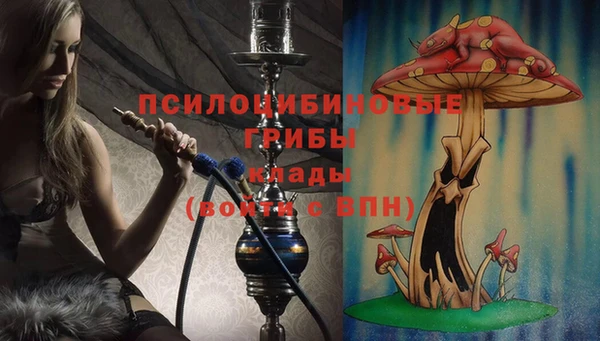 a pvp Армянск