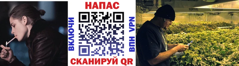 Бошки Шишки AK-47  darknet как зайти  Мантурово  omg как войти 